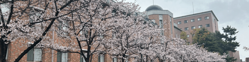 Oswaldo Castro-Romero’s teaching site banner